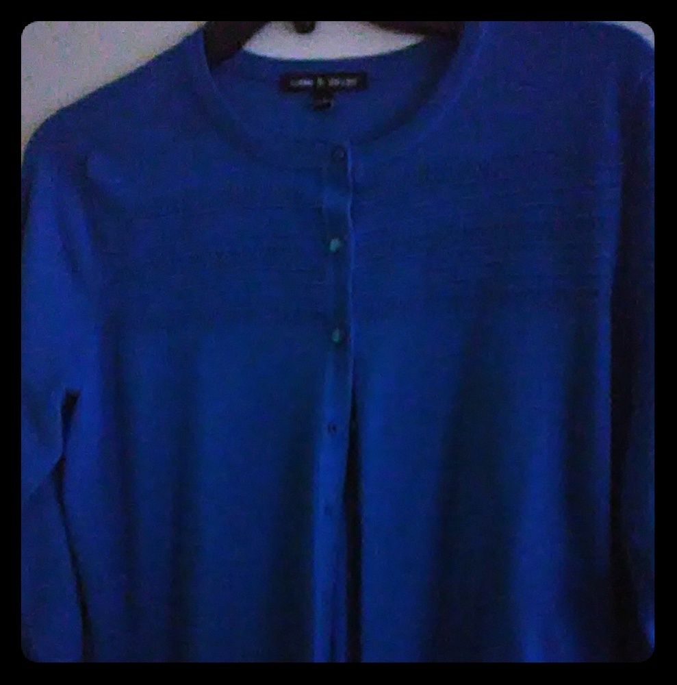 Cable and Gauge Blue Rayon Sweater Size Large